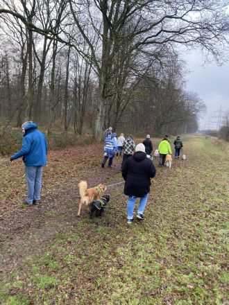 Smart Dogs Wuppertal