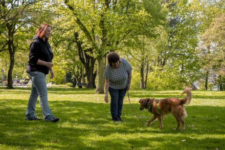 Smart Dogs Wuppertal