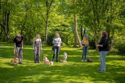 Smart Dogs Wuppertal