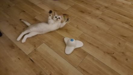 Brüder-Duo sucht 5* Kuschelzuhause