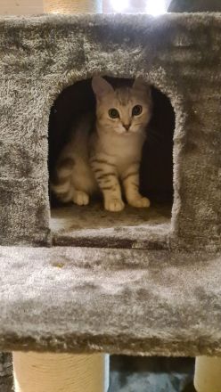 Brüder-Duo sucht 5* Kuschelzuhause