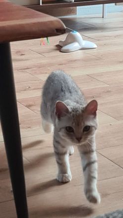 Brüder-Duo sucht 5* Kuschelzuhause