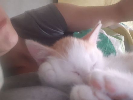 Wir suchen keinen Dosenöffner,  WIR SUCHEN EINEN FREUND FÜRS LEBEN :-)