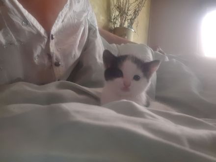 Wir suchen keinen Dosenöffner,  WIR SUCHEN EINEN FREUND FÜRS LEBEN :-)