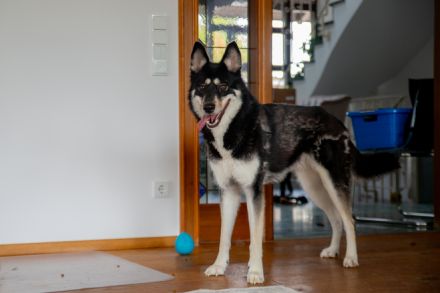 Bonita - verzaubert sie auch dich?