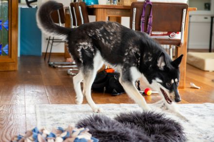 Bonita - verzaubert sie auch dich?