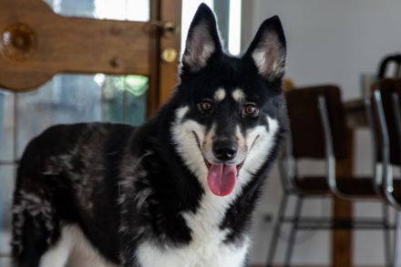 Bonita - verzaubert sie auch dich?