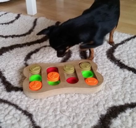 Lust auf Welpengewusel?.