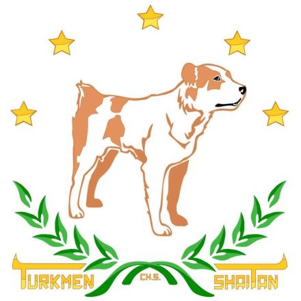 Turkmen Shaitan