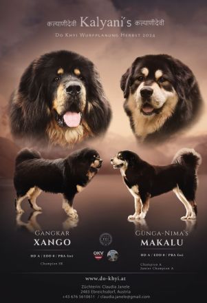 Neue DO KHYI Zuchtstätte in Österreich