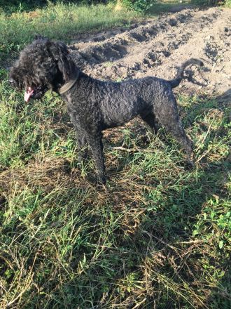 4440 Tiszavasvári Magyarország