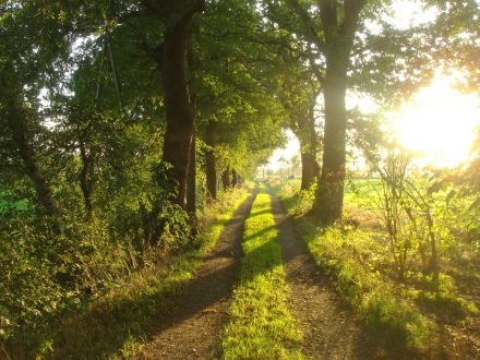 Tierkommunikation Kurs 13-14 Juli 2024 Rastede/Niedersachsen