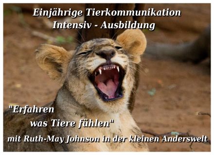 Tierkommunikation Kurs 13-14 Juli 2024 Rastede/Niedersachsen