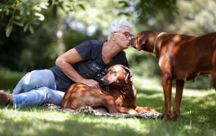 Rhodesian Ridgeback Welpen Wurfankündigung Juni 2026