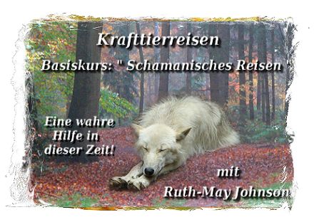 Tierkommunikation: Krafttierreise 17/18 August 2024 Niedersachsen