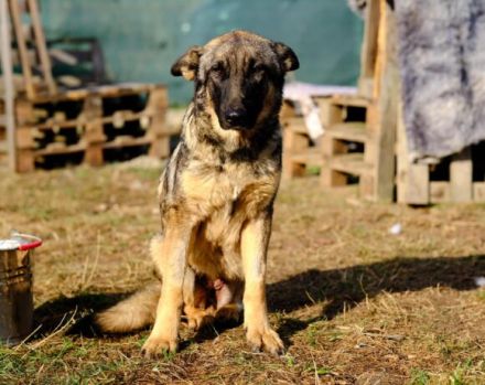 Schenkst du Tessa die Chance ihres Lebens?