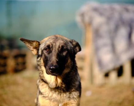 Schenkst du Tessa die Chance ihres Lebens?