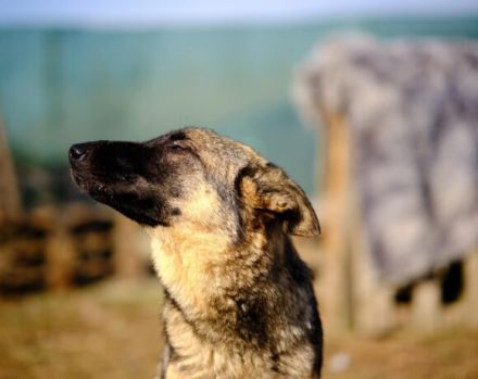 Schenkst du Tessa die Chance ihres Lebens?