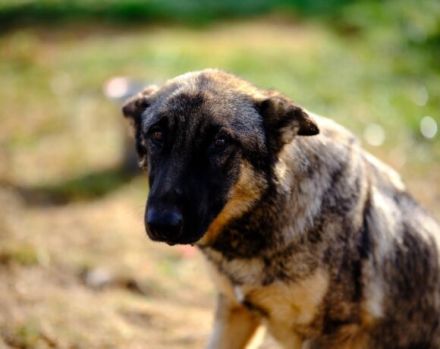 Schenkst du Tessa die Chance ihres Lebens?