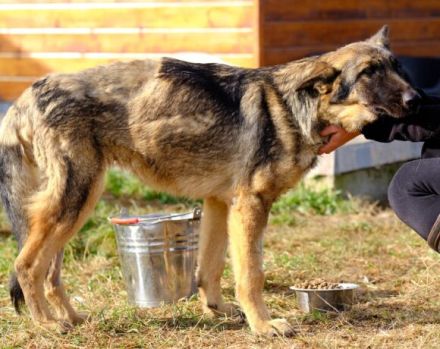 Schenkst du Tessa die Chance ihres Lebens?