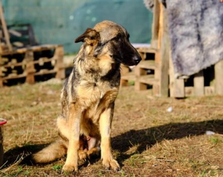 Schenkst du Tessa die Chance ihres Lebens?