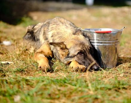 Schenkst du Tessa die Chance ihres Lebens?