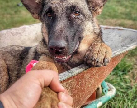 Schenkst du Tessa die Chance ihres Lebens?