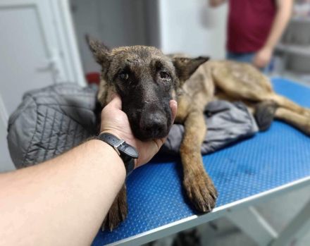 Schenkst du Tessa die Chance ihres Lebens?