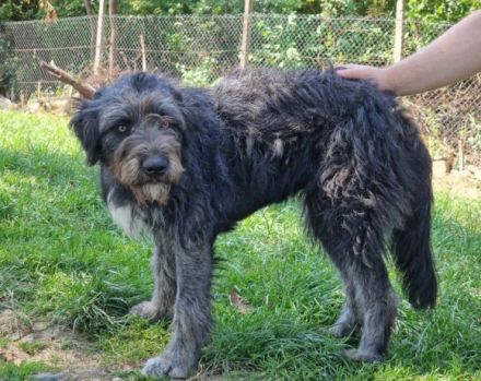 Sunshine bringt Sonne in dein Herz!