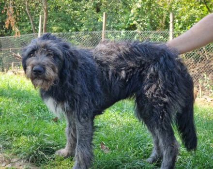 Sunshine bringt Sonne in dein Herz!