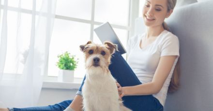 Hundetrainer Ausbildung 2024 in Stuttgart