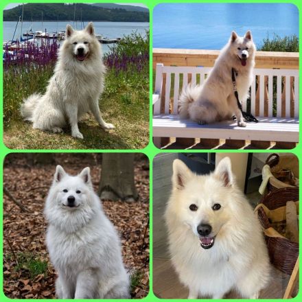 von den Stiefeler Spitzen