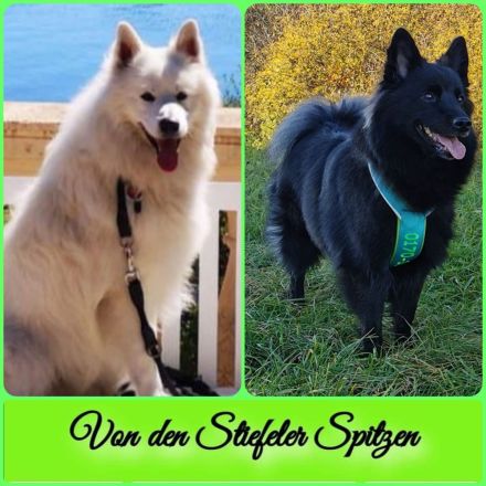 von den Stiefeler Spitzen