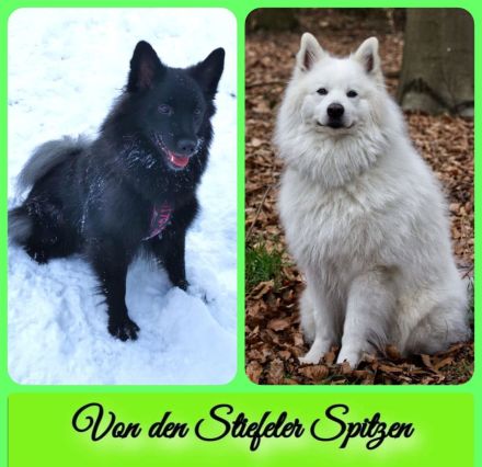 von den Stiefeler Spitzen