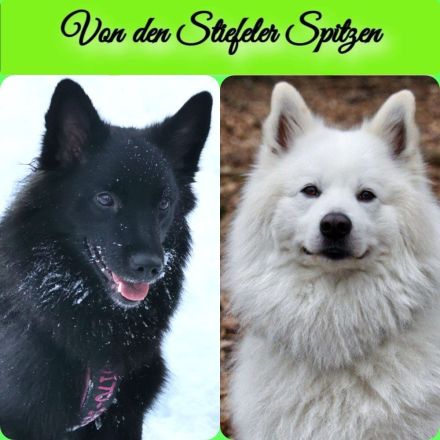 von den Stiefeler Spitzen