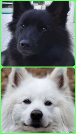 von den Stiefeler Spitzen