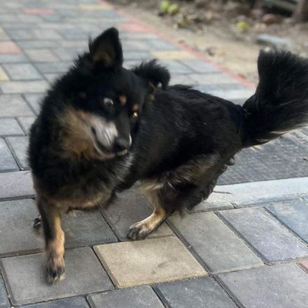 Mara - endlich ankommen