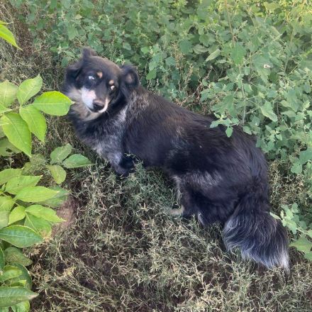 Mara - endlich ankommen