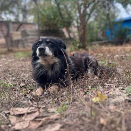 Mara - endlich ankommen