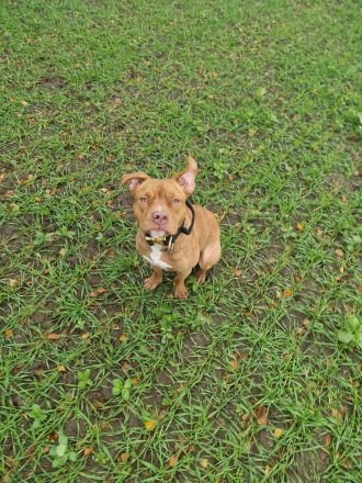 Oskar sucht Platz auf Endzeit