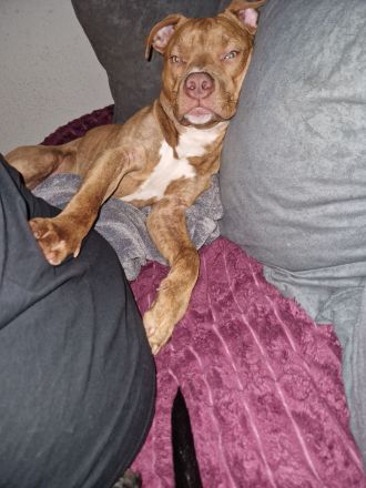 Oskar sucht Platz auf Endzeit