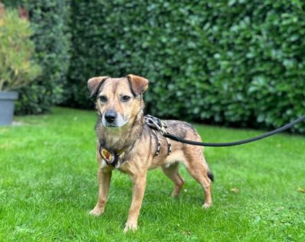 Du und der süße Finn-Freunde fürs Leben?