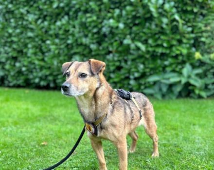 Du und der süße Finn-Freunde fürs Leben?