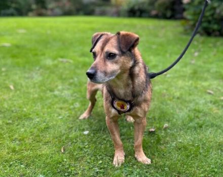 Du und der süße Finn-Freunde fürs Leben?