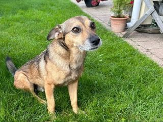 Du und der süße Finn-Freunde fürs Leben?