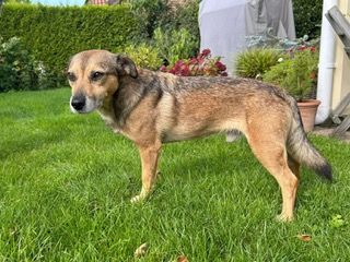 Du und der süße Finn-Freunde fürs Leben?