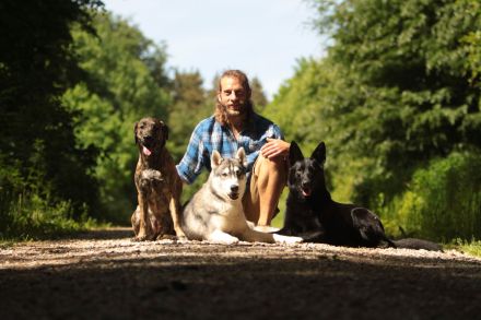 Hundepension ,,Hundeheimat Bayern''