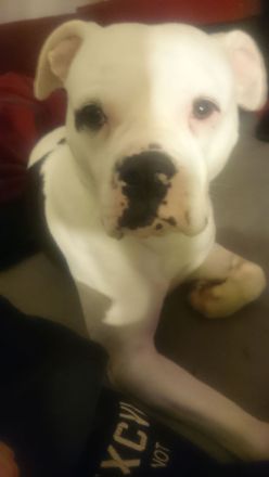 Sehr dringend und nur Frauchen!!!