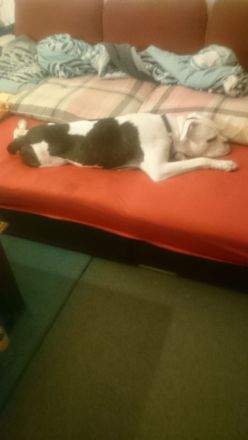 Sehr dringend und nur Frauchen!!!