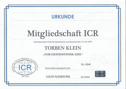 Vom Gräfensteiner Adel